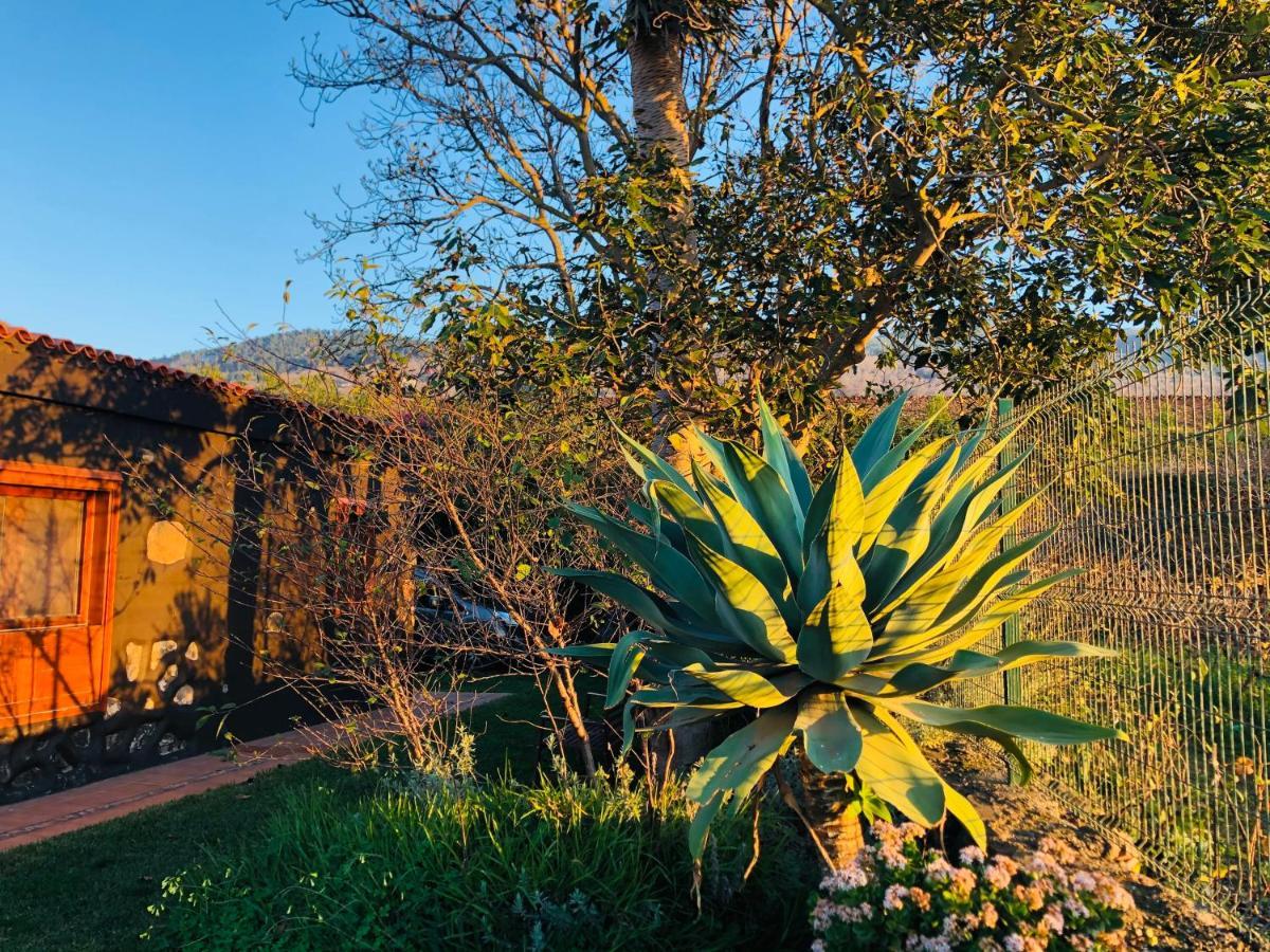 Casa Rural Dona Herminda La Matanza De Acentejo Екстериор снимка