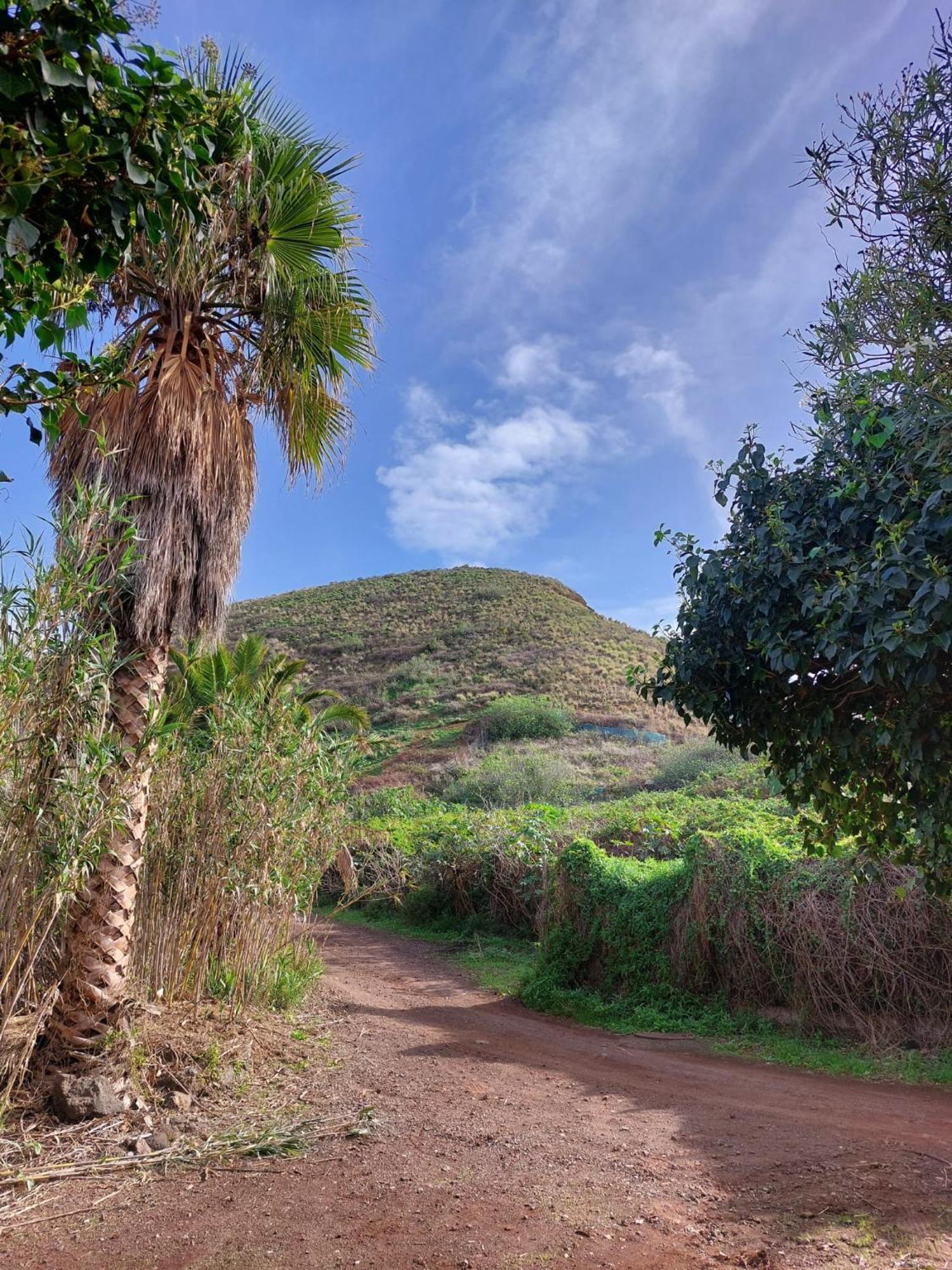 Casa Rural Dona Herminda La Matanza De Acentejo Екстериор снимка