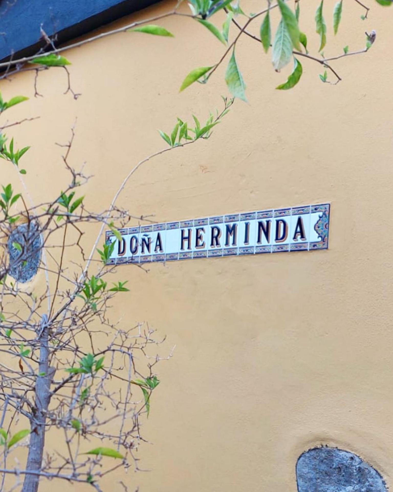 Casa Rural Dona Herminda La Matanza De Acentejo Екстериор снимка